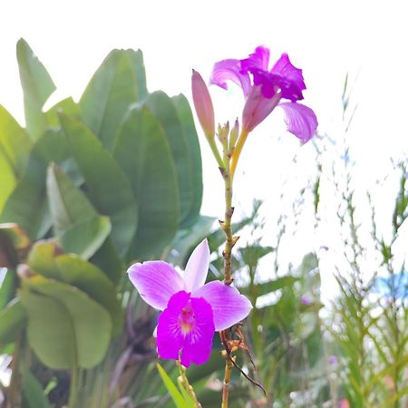 פוארטו לימון Hotel Maribu Caribe מראה חיצוני תמונה